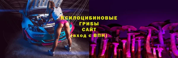 Альфа ПВП Алзамай