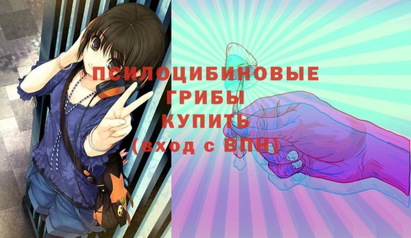 бутират Алексеевка