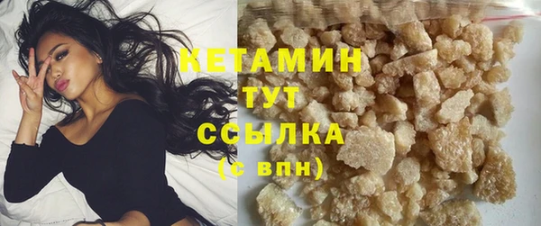 соль ск Новозыбков